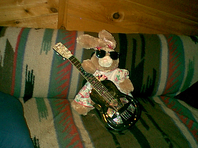 Abi's Strawberry Bear with sunglasses and my national uke